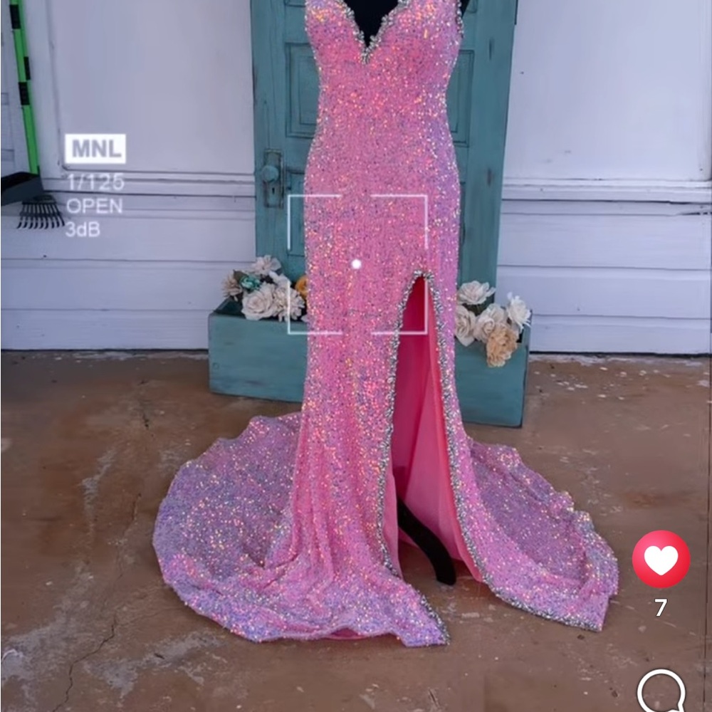 Sparkling Pink Trumpet Style Gown with Train